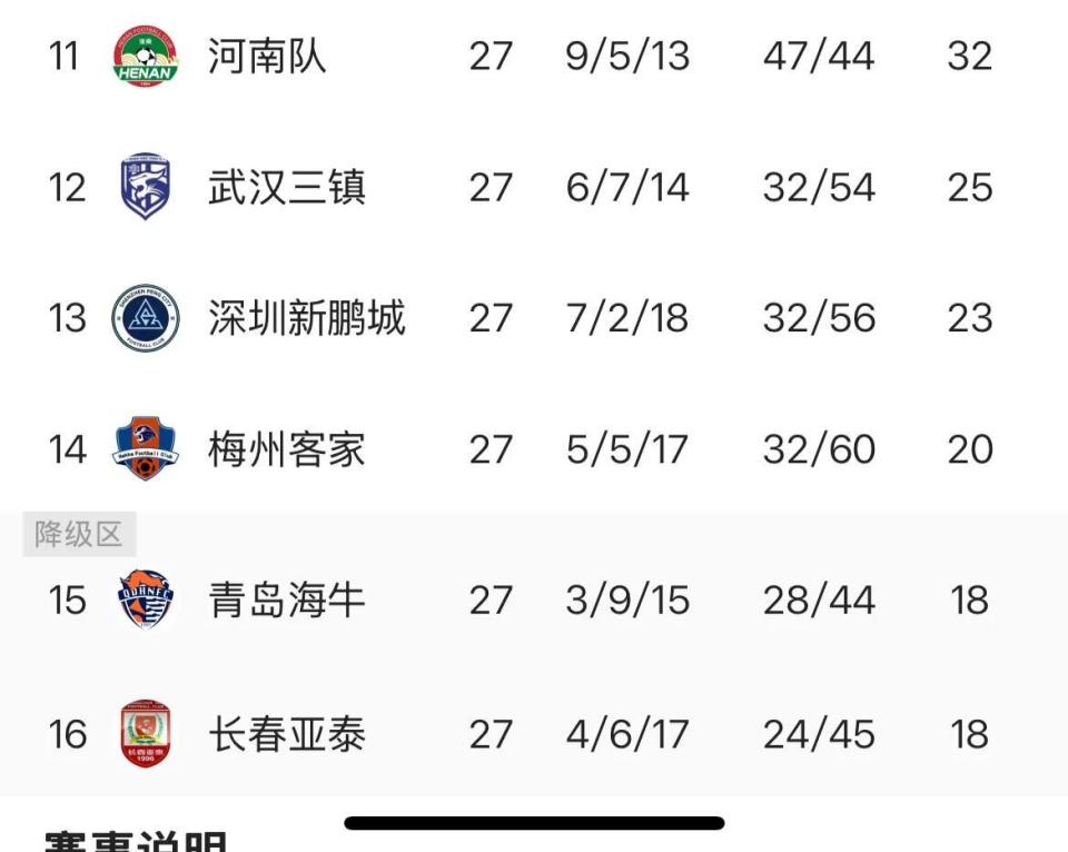 邵佳一带队, 难题 邵佳一带队, 难题