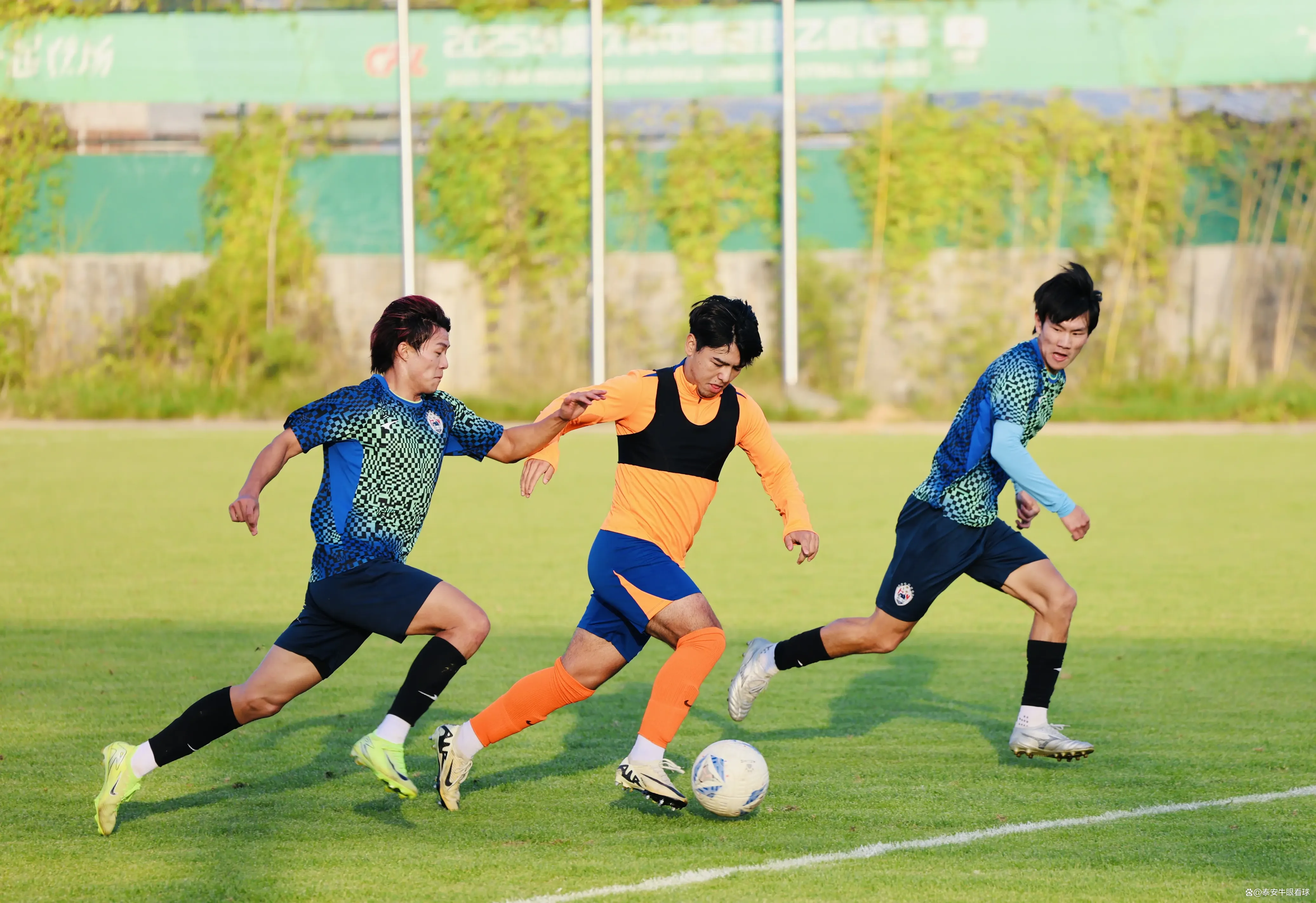 泰安天贶与 泰安天贶与