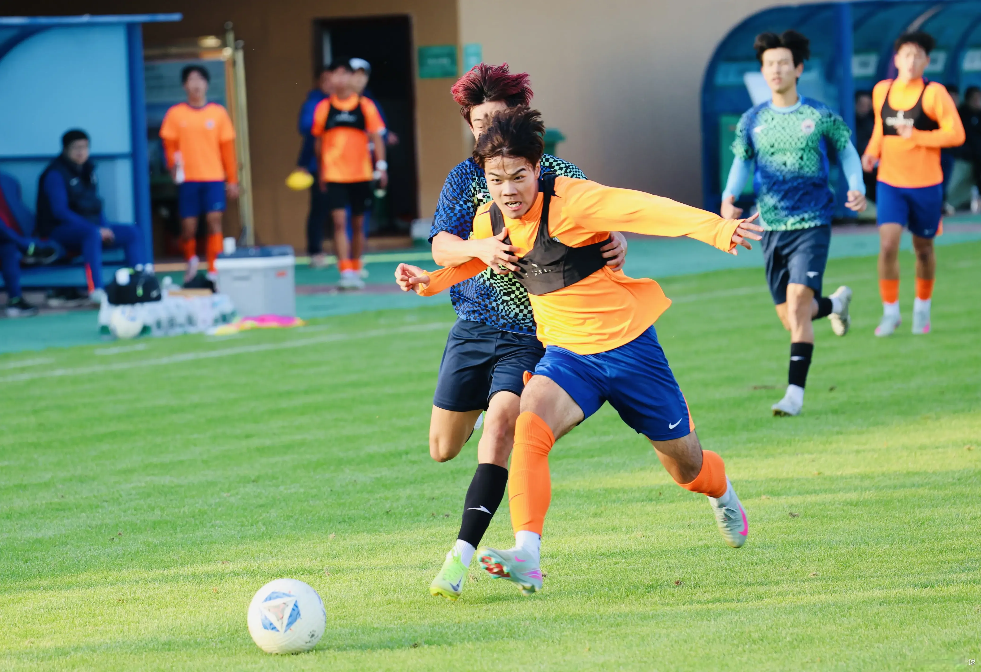 取得佳绩, img, 会的比赛 取得佳绩, img, 会的比赛