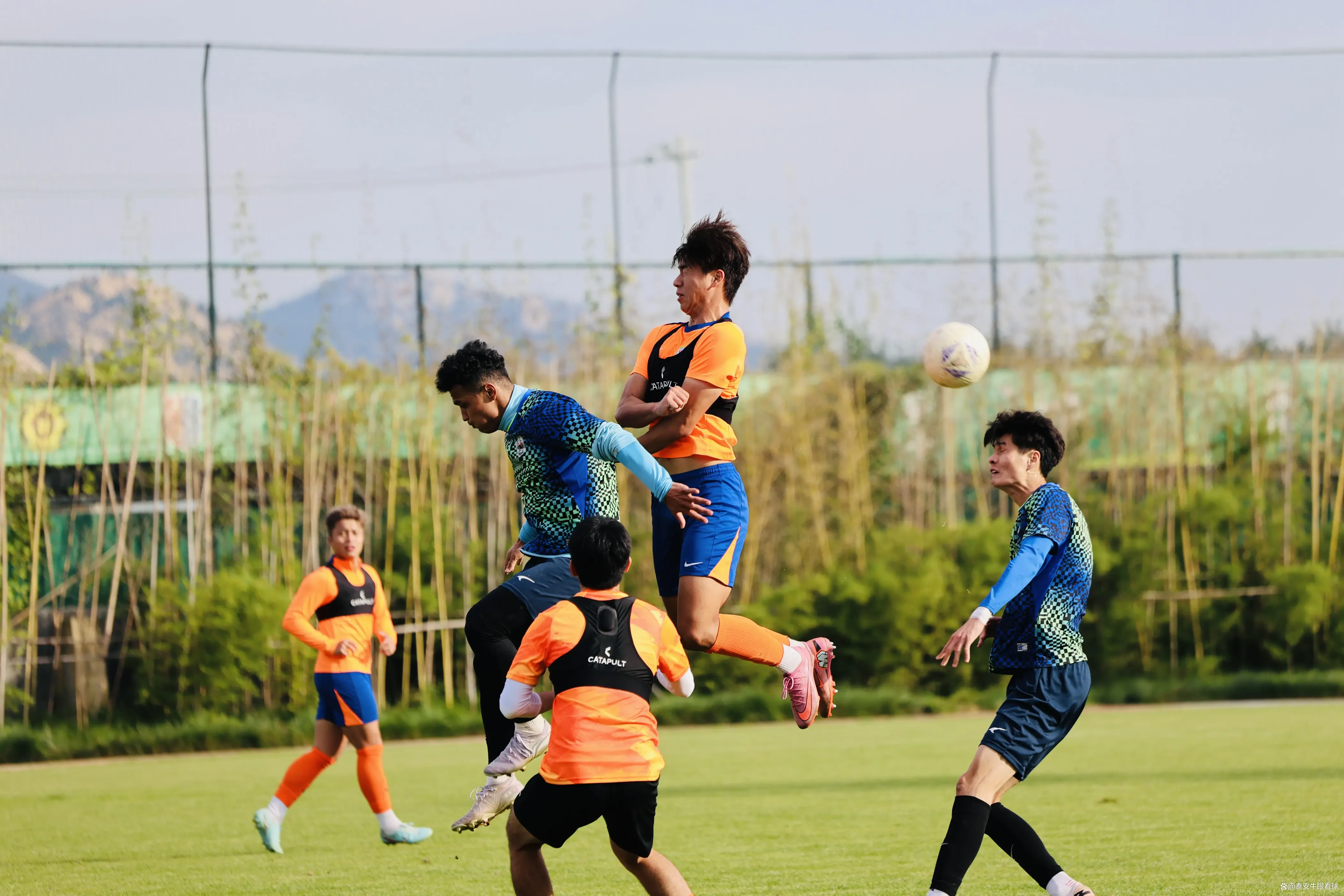 山东全运队, img, tenan 山东全运队, img, tenan